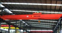 Low Maintenance Double Girder Workshop EOT Crane