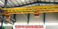 Hot-Dip Galvanizing Overhead Crane